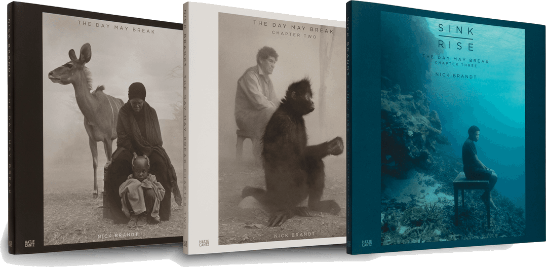 Front cover of The Day May Break: Chapters One, Two, and Three by Nick Brandt, published by Hatje Cantz